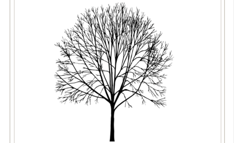 Plainfield Tree Planting&nbsp;Guide
